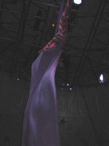 photo : cirque zavatta 28