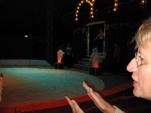 photo : cirque zavatta 47