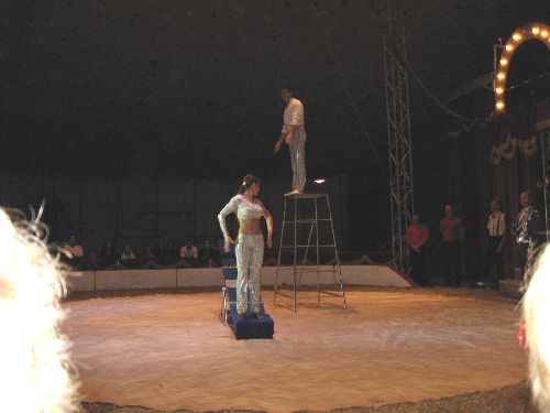 photo : cirque zavatta 62