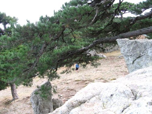 photo : 13 - Vue du col de Bavella