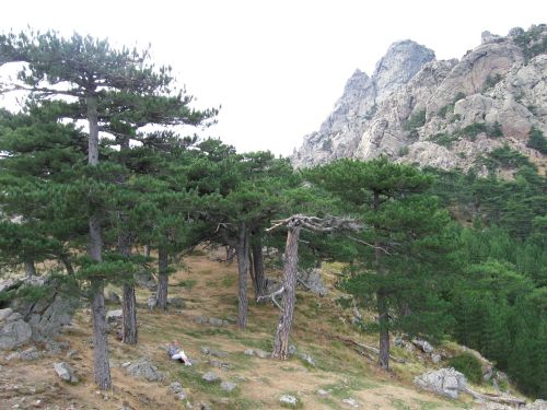 photo : 16 - Vue du col de Bavella