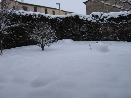 photo : neige a Lyon Saint Priest 02 (10/01/2010)