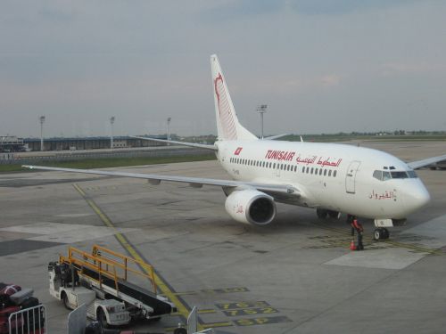 photo : 06 Le Boeing 737 600 (15/05/2010)