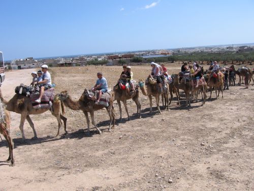 photo : 04 La caravane (18/05/2010)