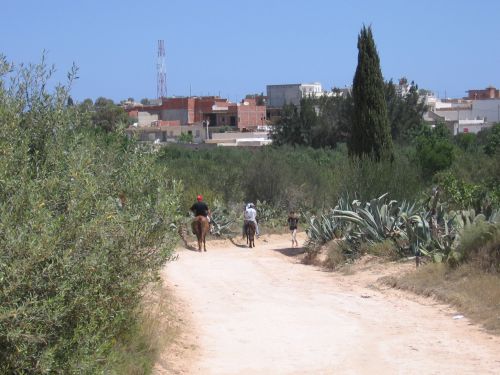 photo : 06 Balade en chameaux (18/05/2010)