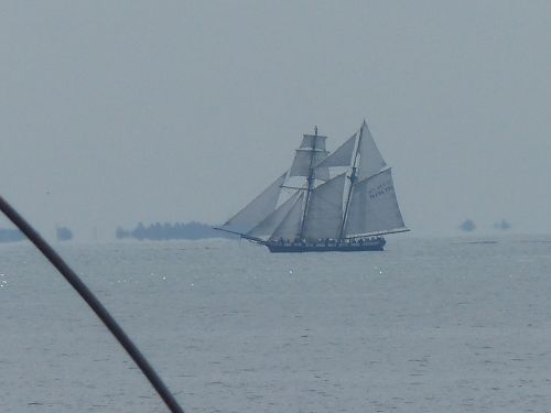 photo : Prefailles 02 (11/08/2013)