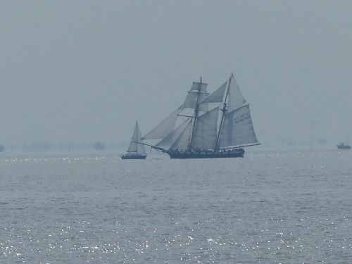 photo : Prefailles 13 (11/08/2013)