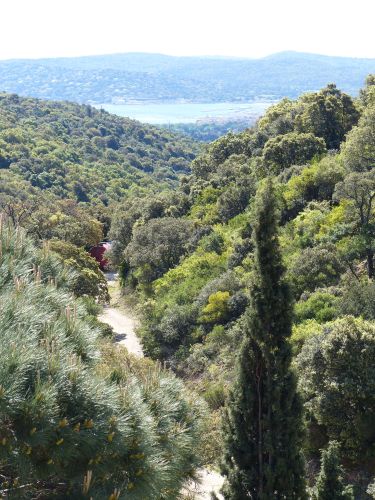 photo : 04 du 27/04/2014