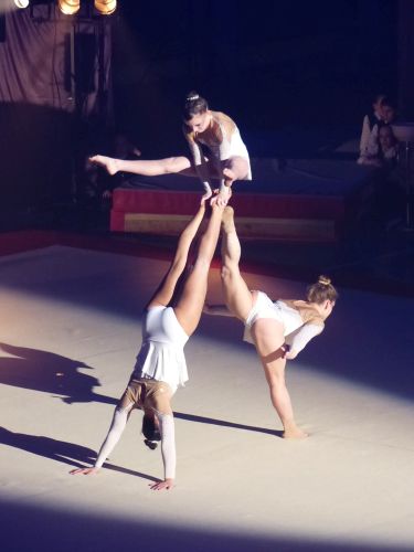 photo : acrobatic show 06 (13/01/2018)