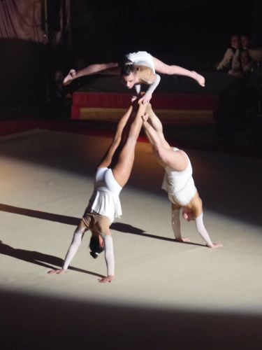 photo : acrobatic show 09 (13/01/2018)