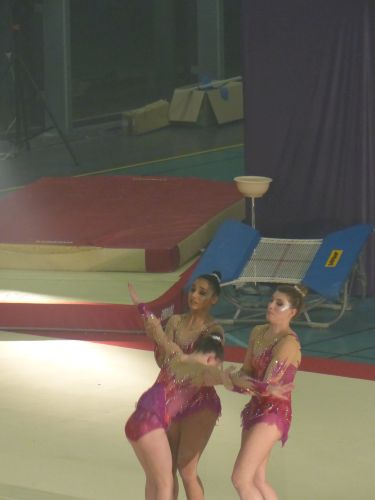 photo : acrobatic show 20 (13/01/2018)