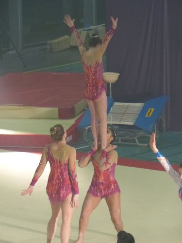 photo : acrobatic show 21 (13/01/2018)