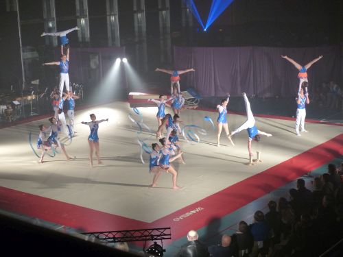 photo : acrobatic show 30 (13/01/2018)