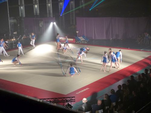 photo : acrobatic show 32 (13/01/2018)