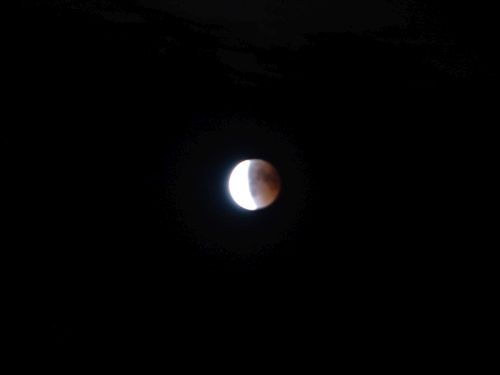 photo : 42 eclipse de lune (27/07/2018)