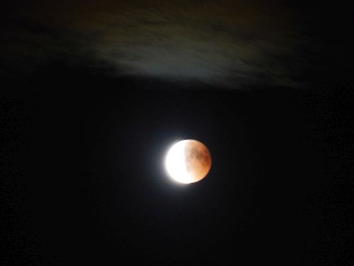 photo : 44 eclipse de lune (27/07/2018)