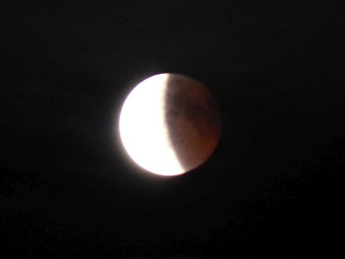 photo : 54 eclipse de lune (27/07/2018)