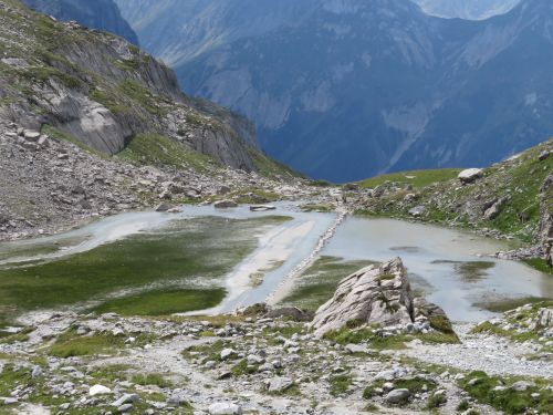 photo : 55 rando lac du col de la vanoise pralognan (22/08/2018)