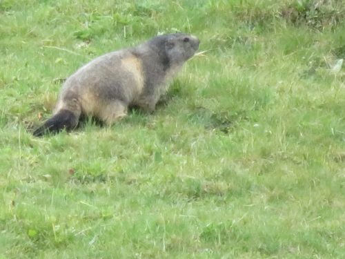 photo : 53 rando champagny en vanoise (23/08/2018)