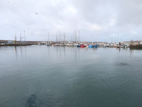 photo : 01 port de morro jable (23/10/2018)