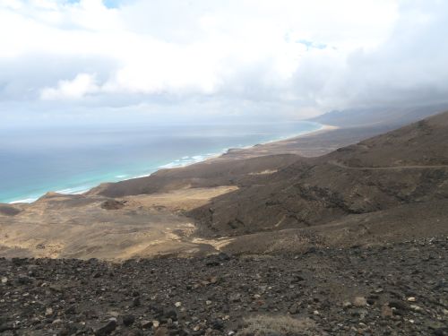 photo : 21 cofete (23/10/2018)