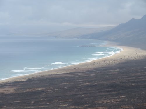 photo : 23 cofete (23/10/2018)