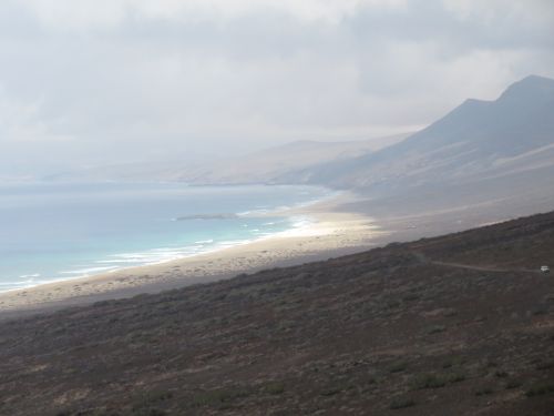 photo : 26 cofete (23/10/2018)