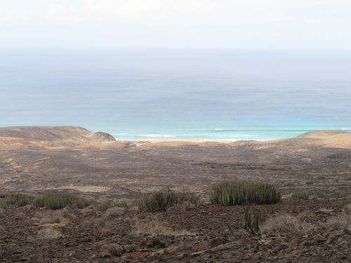 photo : 27 cofete (23/10/2018)