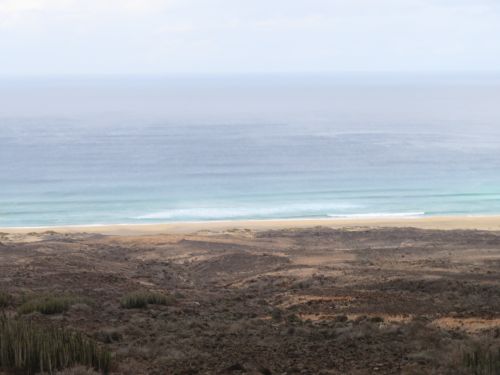 photo : 28 cofete (23/10/2018)