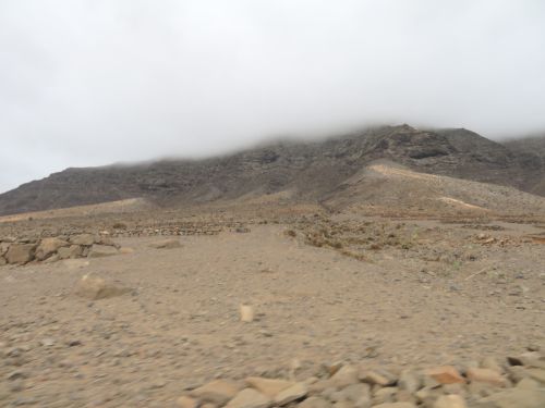 photo : 29 cofete (23/10/2018)