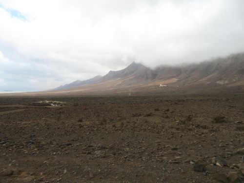 photo : 31 cofete (23/10/2018)