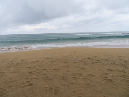 photo : 33 cofete (23/10/2018)