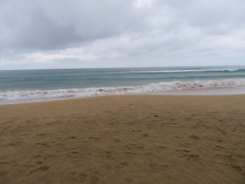 photo : 34 cofete (23/10/2018)