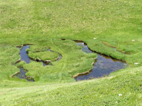 photo : 12 orcieres merlette (12/07/2019)