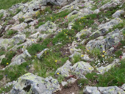 photo : 16 orcieres merlette (12/07/2019)