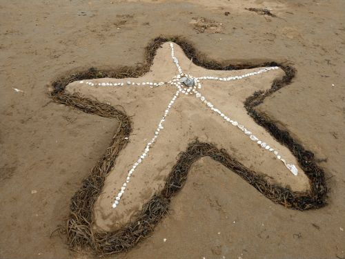 photo : 103 concours chateaux sable (14/08/2019)