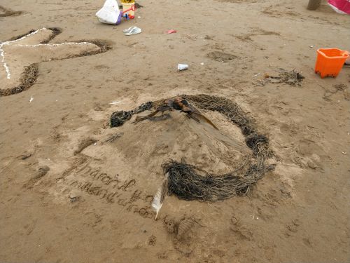 photo : 109 concours chateaux sable (14/08/2019)