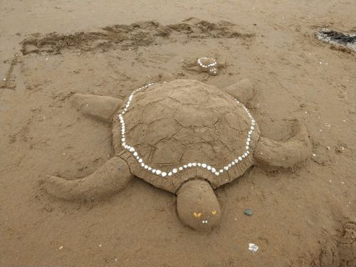 photo : 112 concours chateaux sable (14/08/2019)