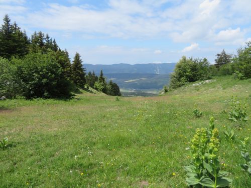 photo : randonnee le moucherotte lans en vercors 01 (28/06/2020)