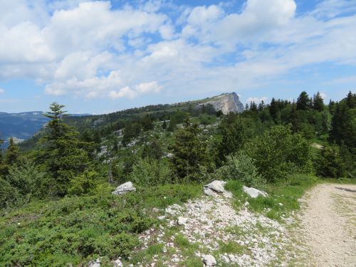 photo : randonnee le moucherotte lans en vercors 03 (28/06/2020)