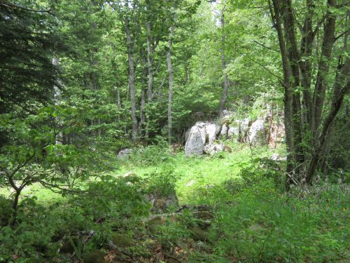 photo : randonnee le moucherotte lans en vercors 17 (28/06/2020)