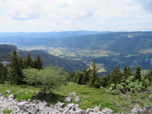 photo : randonnee le moucherotte lans en vercors 28 (28/06/2020)