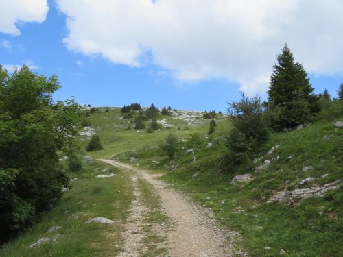 photo : randonnee le moucherotte lans en vercors 40 (28/06/2020)