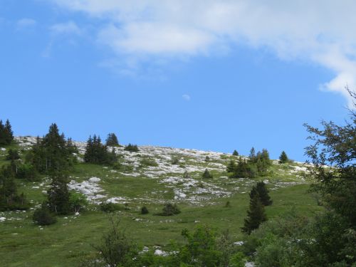 photo : randonnee le moucherotte lans en vercors 41 (28/06/2020)