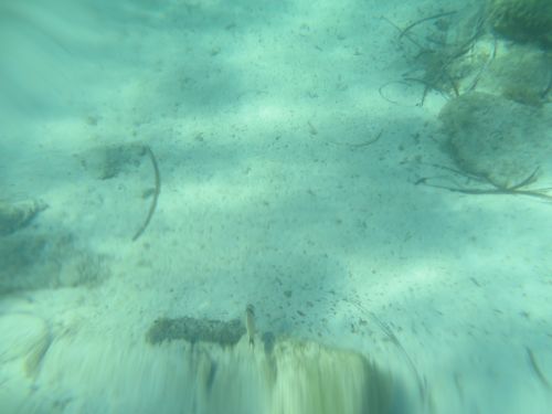 photo : 12 plage de santa giulia (10/07/2020)