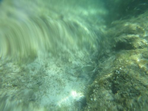 photo : 16 plage de santa giulia (10/07/2020)