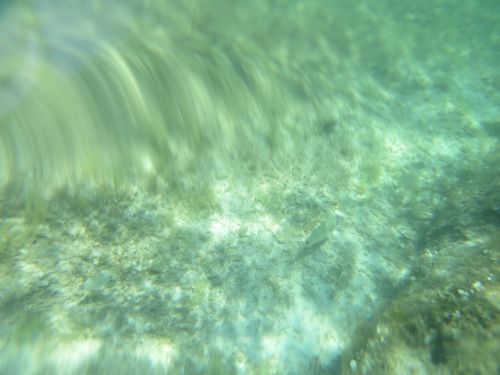 photo : 17 plage de santa giulia (10/07/2020)