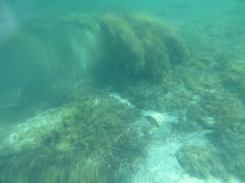 photo : 19 plage de santa giulia (10/07/2020)