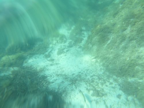 photo : 20 plage de santa giulia (10/07/2020)