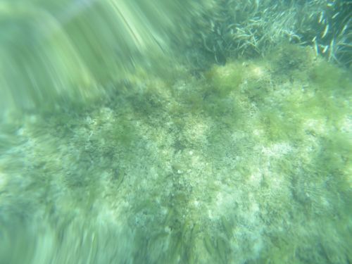 photo : 21 plage de santa giulia (10/07/2020)